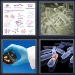6-letras-respuestas-bacteria