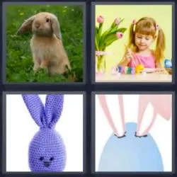 6-letras-respuestas-conejo