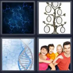 6-letras-respuestas-genetica