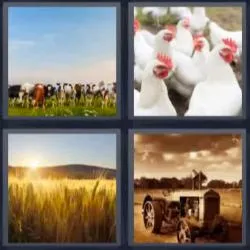 6-letras-respuestas-granja