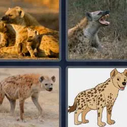 5-letras-respuestas-hiena