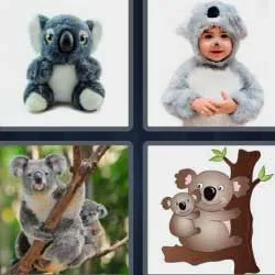 5-letras-respuestas-koala