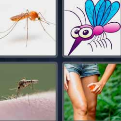6-letras-respuestas-mosquito