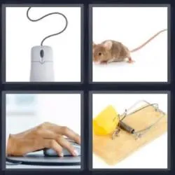 5-letras-respuestas-raton