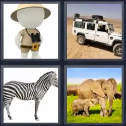 6-letras-respuestas-safari