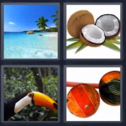 6-letras-respuestas-tropical