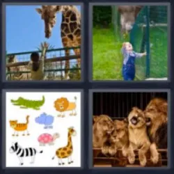 3-letras-respuestas-zoo